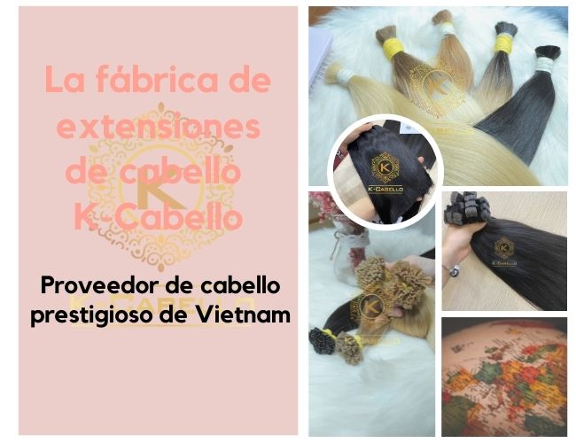 La-fabrica-de-extensiones-de-cabello-K-Cabello-un-proveedor-de-cabello-prestigioso-de-Vietnam
